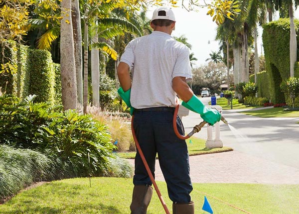About Mathis TX Pest Control Pros